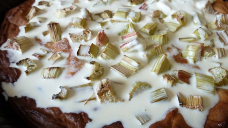 galette à la rhubarbe