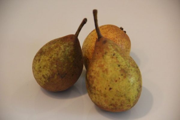 La poire de Fizet