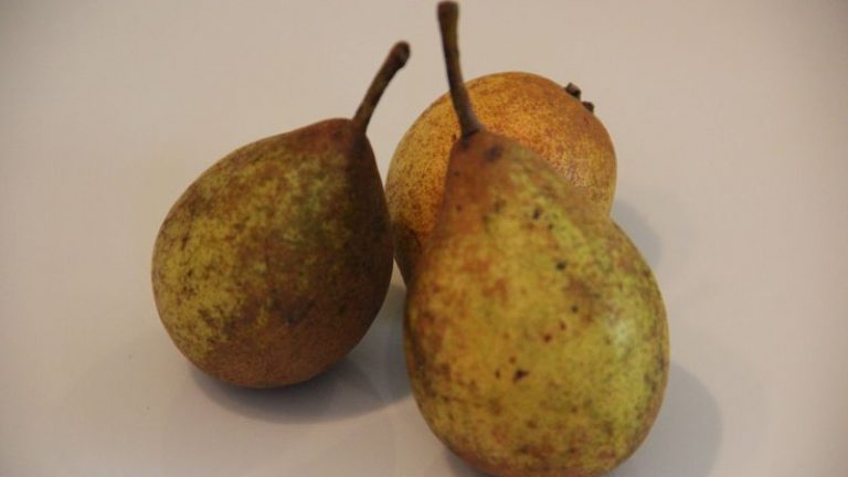 poire fizet