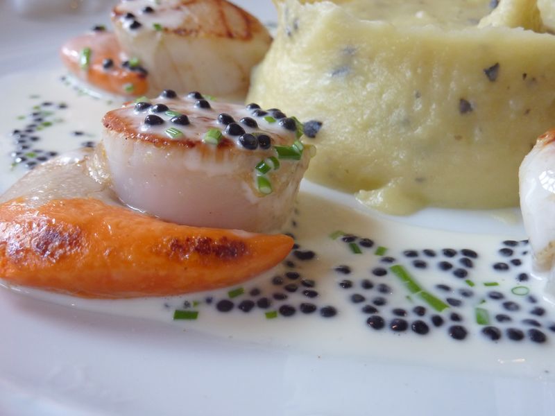 Coquilles Saint Jacques au caviar de hareng