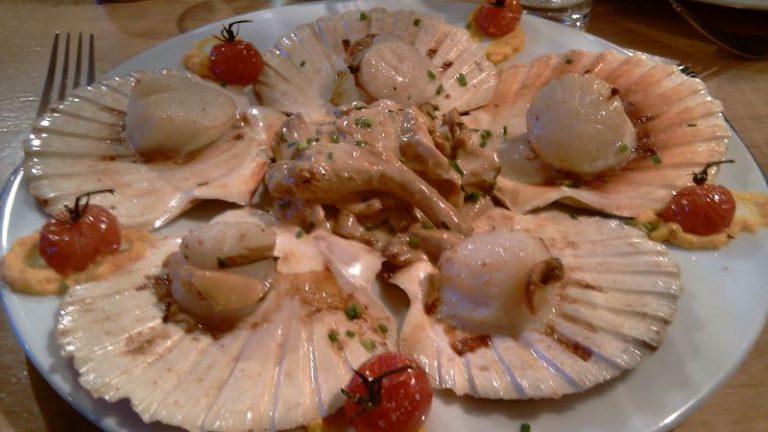 saint Jacques aux girolles
