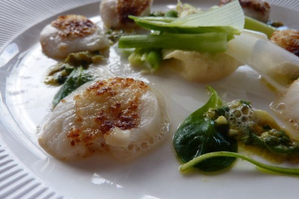Coquilles Saint Jacques poêlées en croûte de Parmesan