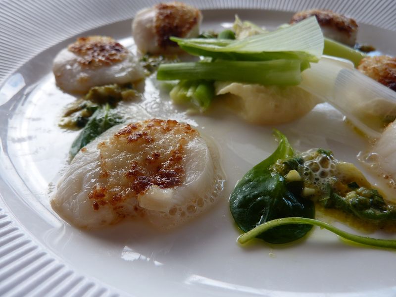 Coquilles Saint Jacques poêlées en croûte de Parmesan