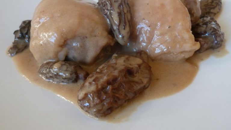 poulet aux morilles