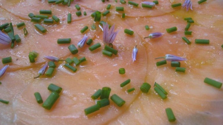carpaccio de saumon