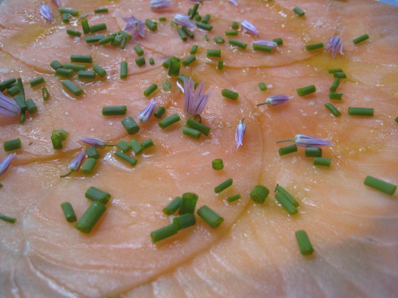 Carpaccio de saumon