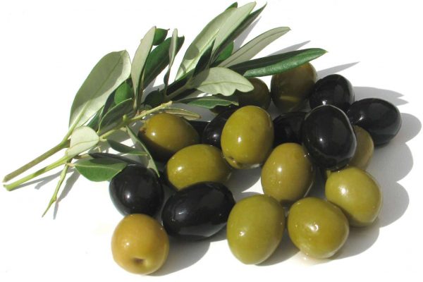 Tapenade de lapereau