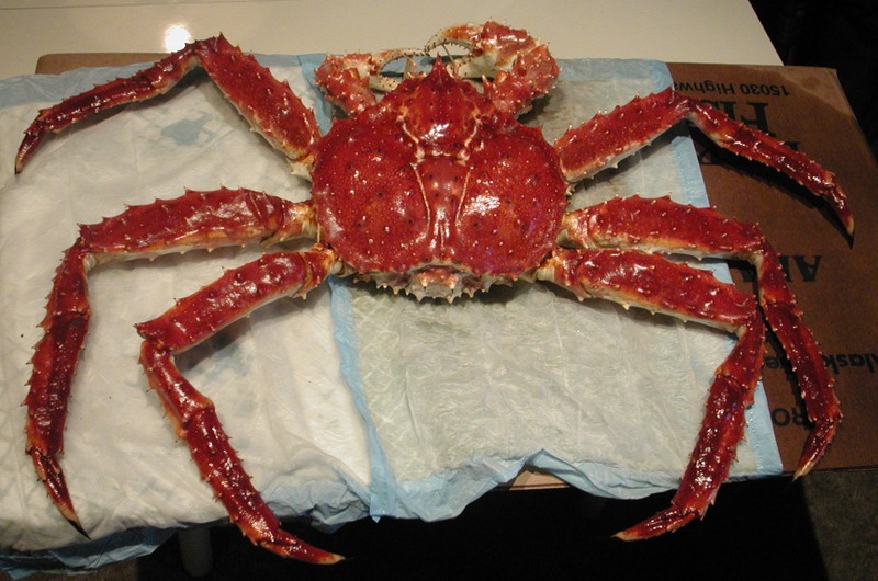 "King Crab", ou le Crabe Royal d'Alaska Cuisine Passion