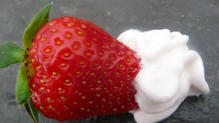 fraise chantilly