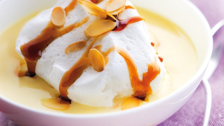 ile flottante