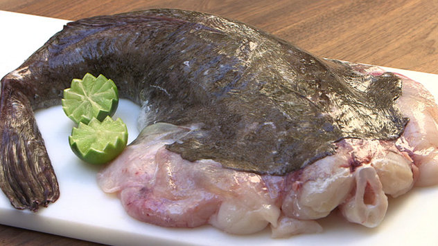 lotte - Lophius piscatorius