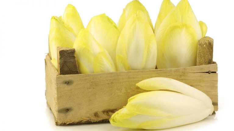 endives