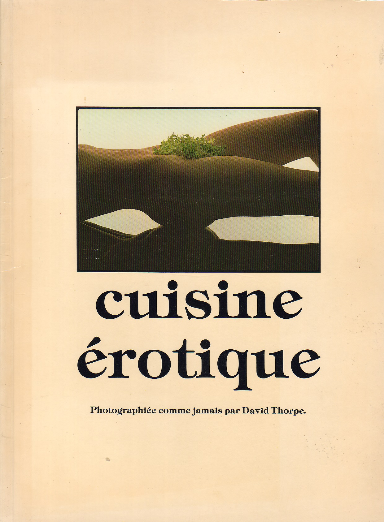 Cuisine érotique – Le livre