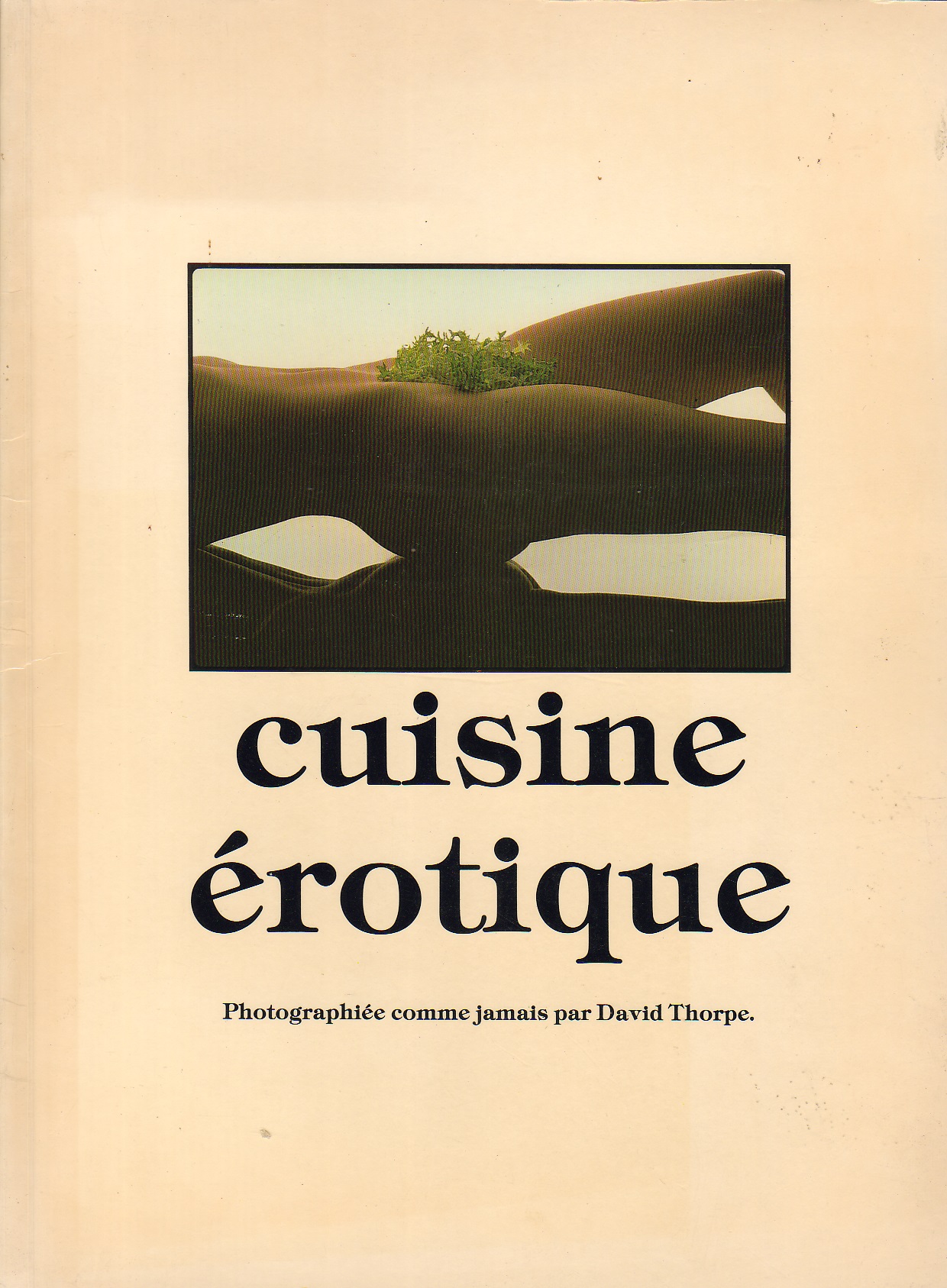 La cuisine érotique - Le livre