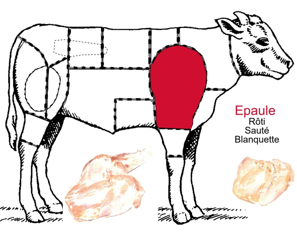 Emplacement Ris De Veau C Est Quoi Le veau – Les différentes découpes de la basse de veau - Cuisine-Passion.net