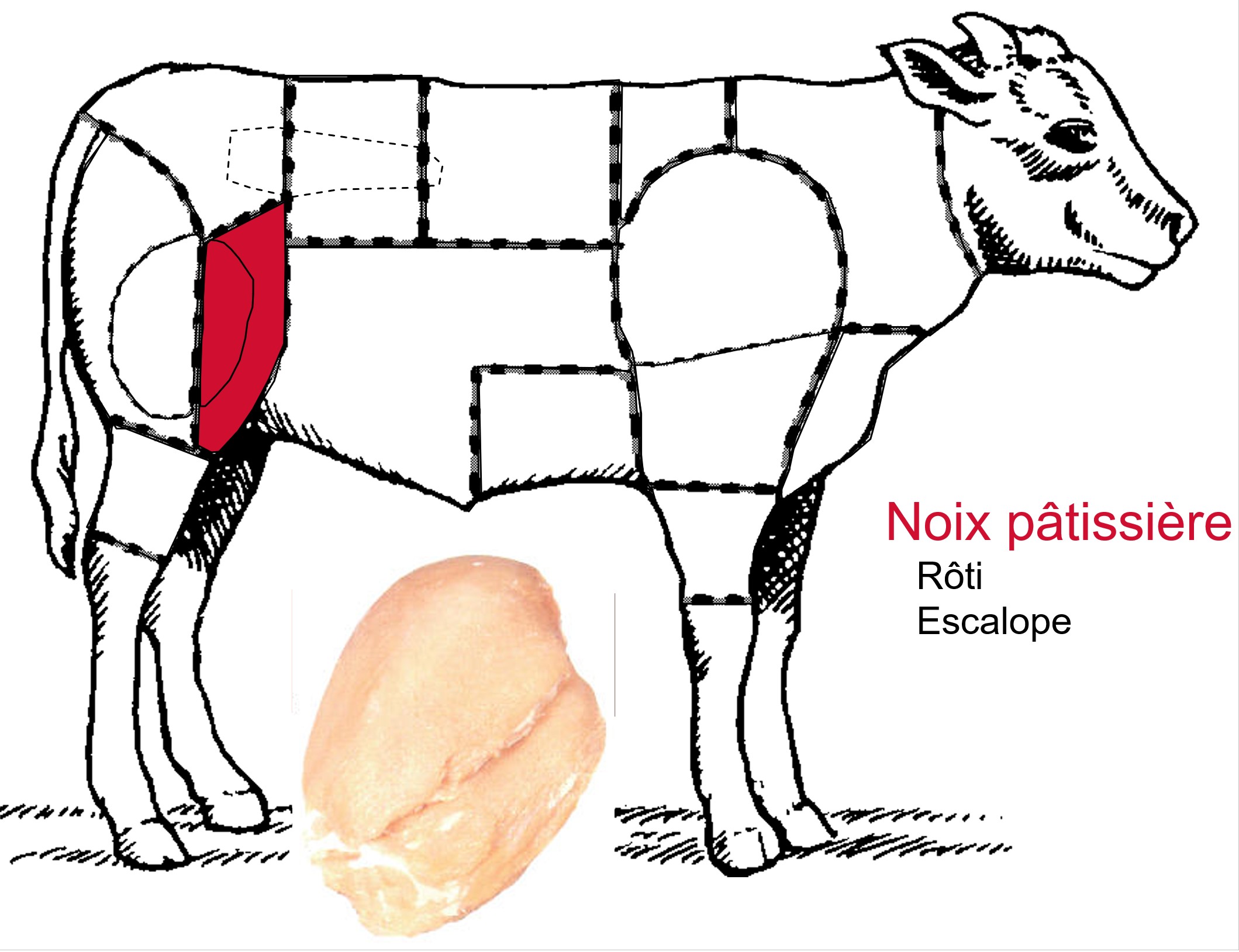Noix-pâtissière-de-veau