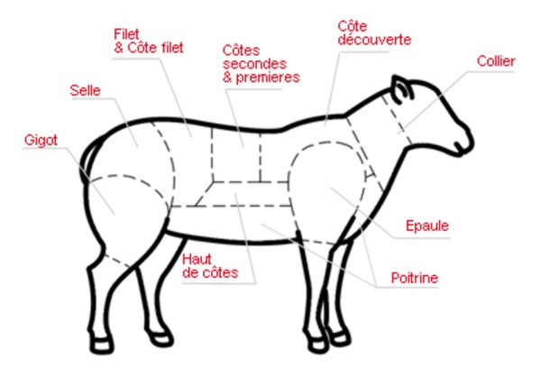 L’agneau – Les découpes