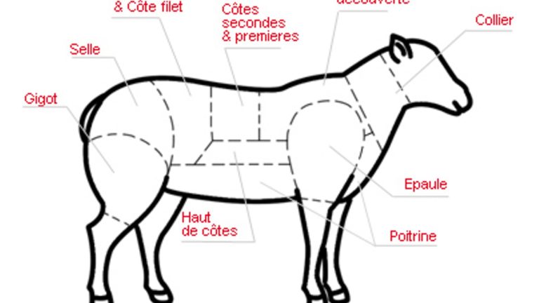 agneau entier