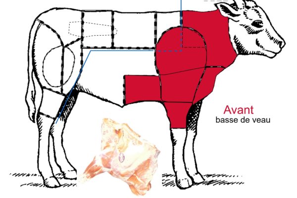 Le veau – Les différentes découpes de la basse de veau