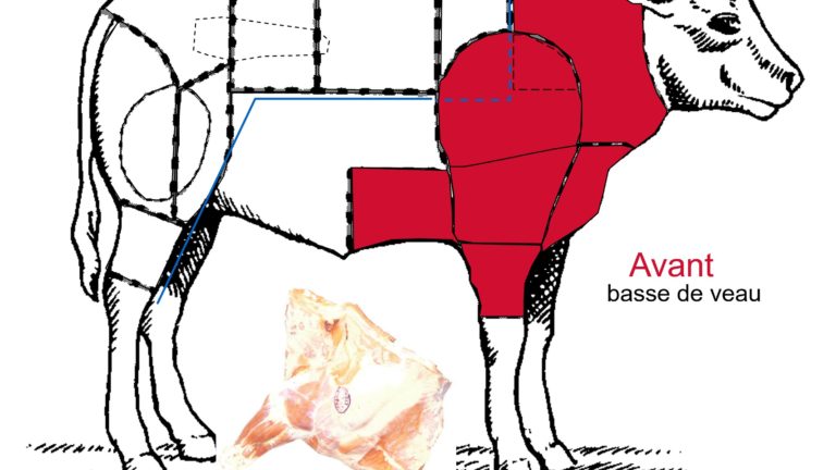 basse de veau