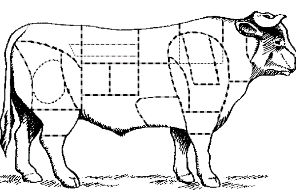La viande bovine – Les découpes primaires