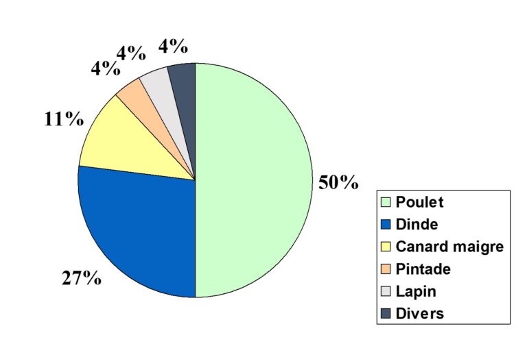 La volaille et le poulet Cuisine Passion