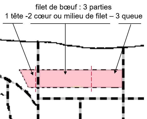 schéma montrant la situation du filet de boeuf