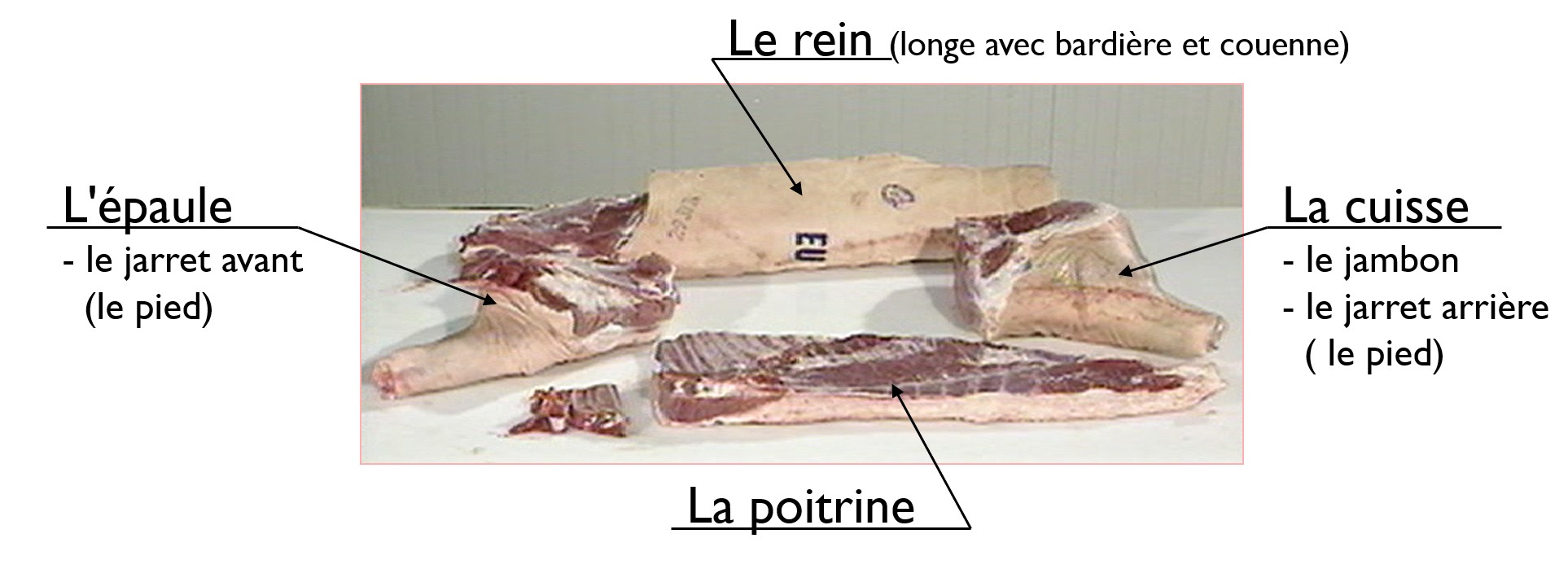 Le porc, viande de boucherie