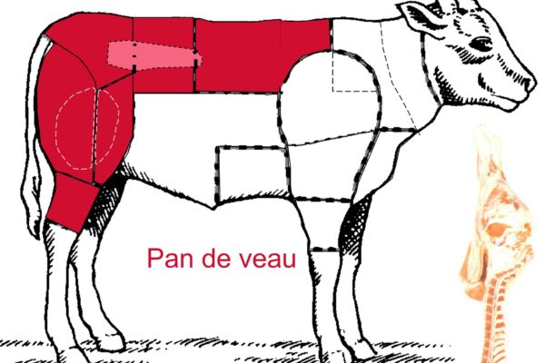 Le veau – Les différentes découpes du pan de veau