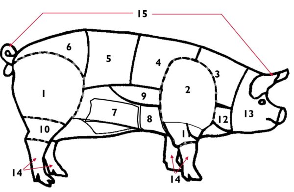 Les découpes de viande de porc