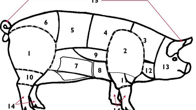 porc détail des découpes